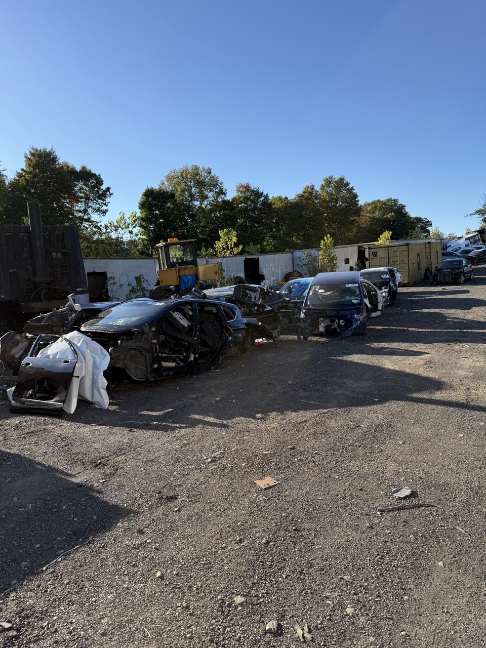 photo_2025-12-07_16-29-56