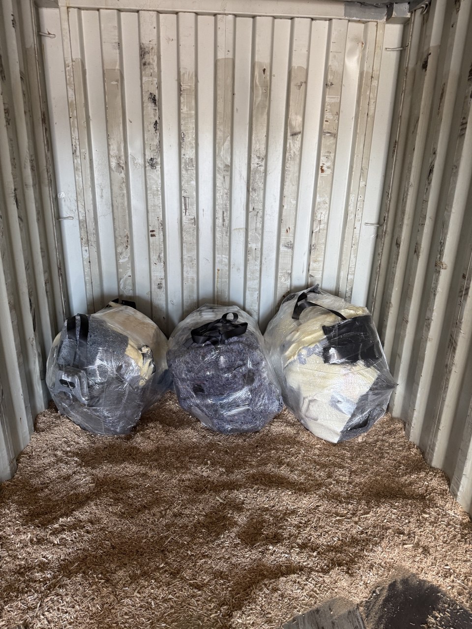 photo_2025-12-07_16-35-56